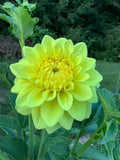 Bloomquist Myrna