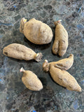 A grower's choice bundle - $50 plus $15 flat rate shipping